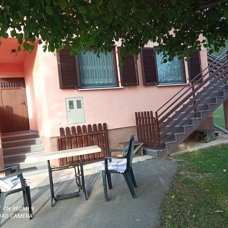 Apartman Deda 拉科维察 外观 照片