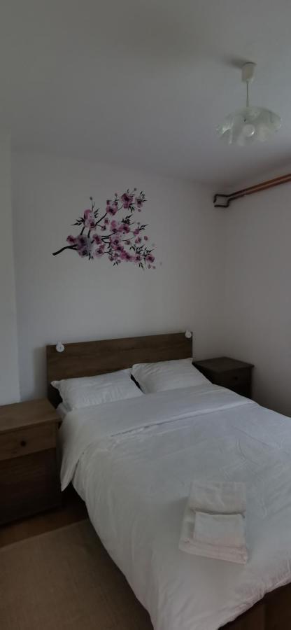 Apartman Deda 拉科维察 外观 照片